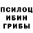 Псилоцибиновые грибы мухоморы Bartek Stawicki