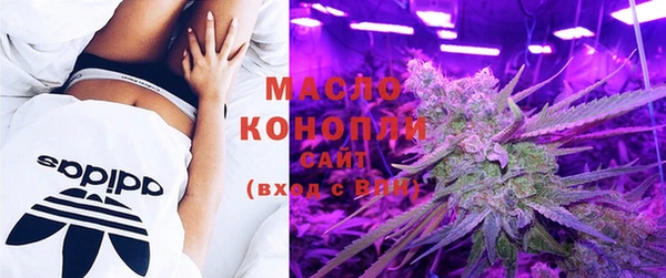 молекула духа Медногорск
