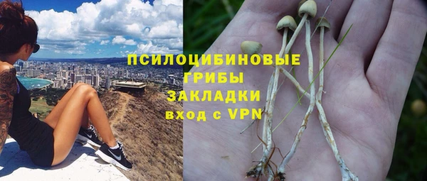 СК Алзамай