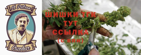 СК Алзамай