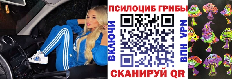 Псилоцибиновые грибы мухоморы  где продают наркотики  OMG онион  Набережные Челны 