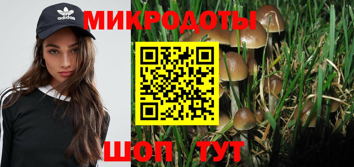 Галлюциногенные грибы мицелий Набережные Челны
