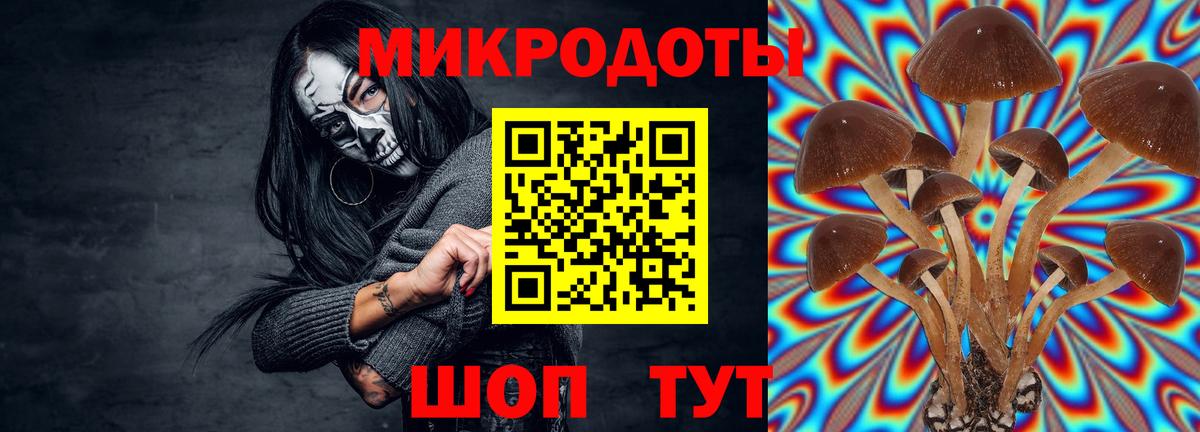 Галлюциногенные грибы Cubensis  Вход с VPN  Галлюциногенные грибы мицелий  Набережные Челны 